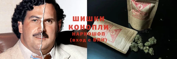 гидропоника Карпинск